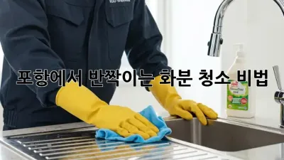 포항에서 반짝이는 화분 청소 비법! 🌱